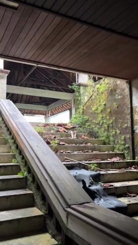 The camera looks upwards from the bottom of a set of stairs to a ruined building. The stairs themselves are made of concrete, with a wooden handrail on the left. Debris litters the steps, including broken terracotta roof tiles and bits of vegetation.  The wall on the right side of the stairs is covered in moss and other plants.  Above the stairs, the roof of the building is partially collapsed, revealing the wooden beams of the structure.  The overall impression is one of abandonment and decay.