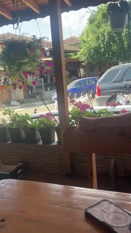 The video opens with a view through a covered outdoor seating area. In the foreground, a wooden table occupies the bottom of the frame. On the right side of the table, a smartphone is visible. Beyond the table, a person's arm and hand rest on the back of a wooden chair. A brick wall runs horizontally across the middle ground, supporting several potted plants with green leaves and pink flowers.

Through the opening in the seating area, a street scene is visible. On the left, houses with wooden facades and tiled roofs line the street. Hanging baskets overflowing with purple flowers are suspended from the eaves of a building. In the center of the street, a blue car is parked. Further down the street, a grey car is also visible. In front of the grey car, several white geese are standing in the street. Trees with lush green foliage form a backdrop to the scene. The sky is overcast, with some areas of brightness suggesting daylight. The overall impression is a quiet, rural setting on a bright day.