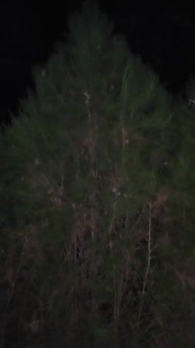 Nighttime scenes around a quiet Gulabad exterior, moon and trees