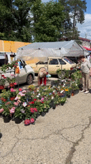 Weekend farmers market bustles in Goryachiy Klyuch, Russia