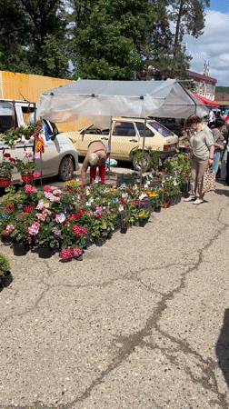 Weekend farmers market bustles in Goryachiy Klyuch, Russia