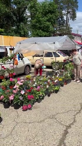 Weekend farmers market bustles in Goryachiy Klyuch, Russia