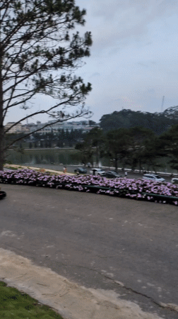 Morning tourism activities at Đà Lạt's Xuân Hương Lake