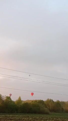 The video shows a landscape scene with several hot air balloons in the sky. There are three visible balloons, one of which is bright red, another is pinkish, and the third is light grey. The balloons appear to be floating relatively low in the sky, as they are positioned just above the tree line in the background. Power lines run across the sky, intersecting the balloons' path. The foreground features a field with green grass, some bare patches, and a line of trees. The sky is overcast with grey clouds, but there is a hint of soft light suggesting it is either early morning or late afternoon. A dark grey car drives by, partially obscuring the lower half of the shot.