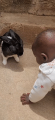 Daily life moments captured in Barakin Akawo, Nigeria community