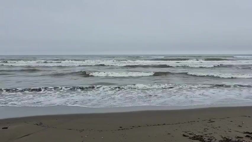 The video shows a cloudy, gray sky over a rough ocean. Waves are crashing onto a sandy beach. The water is a dark gray-blue, and the waves are white and foamy. There are no people or objects visible in the video.