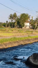 Rural life along Kaligondo's canals, fields, and village roads