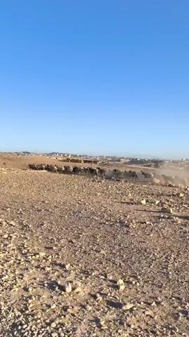 A flock of sheep is walking in a line across a dusty, rocky terrain under a clear blue sky. In the background, there is a distant town or city visible on the horizon. The sheep are dark in color and appear to be moving from right to left in the frame. The ground is dry and covered with small stones and pebbles. The sun is shining, casting shadows and creating a bright, outdoor scene.