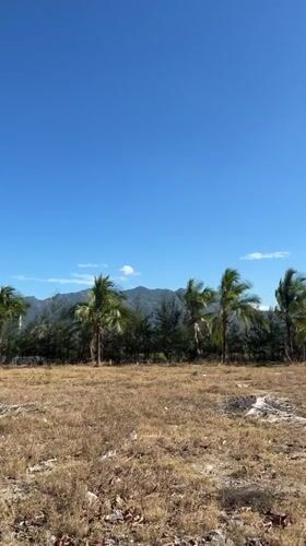Morning scenes documented in Nam Nha Trang coastal area