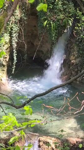 The video captures a serene natural landscape featuring a small waterfall cascading into a clear, turquoise-colored pool. The water then flows downstream over smaller rock formations, creating a gentle multi-tiered effect. The scene is enveloped in lush greenery, with vibrant green leaves from trees and vines framing the view. Sunlight filters through the foliage, illuminating the water and creating bright reflections. A thick, gnarled tree branch extends across the middle ground of the frame, partially obscuring the water but also adding depth. Numerous small, reddish-orange fish are visible swimming in the clear water of the main pool. The surrounding rock faces are partially covered in moss and ivy. The time of day appears to be bright daytime, suggesting sunny weather. The overall atmosphere is tranquil and peaceful, showcasing the beauty of a natural forest environment. This picturesque scene is located near Бачковски манастир in Bulgaria. There is no visible text in the video.