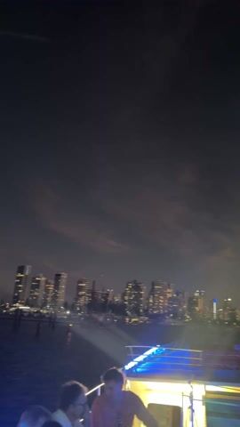 The video shows people dancing on what appears to be a boat at night, with a cityscape illuminated on the horizon.  The sky has a pink hue from the setting sun.  The boat has blue lights along the railing.  The people are silhouetted against the city lights and moving to the music.  The overall mood seems lively and celebratory.
