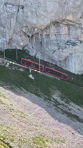 A red cogwheel train with multiple carriages is ascending a steep grassy mountainside next to a sheer rock face. The train is on a track with overhead power lines. Sunlight illuminates the scene, casting shadows. The ground in the foreground is rocky and sparse with vegetation.