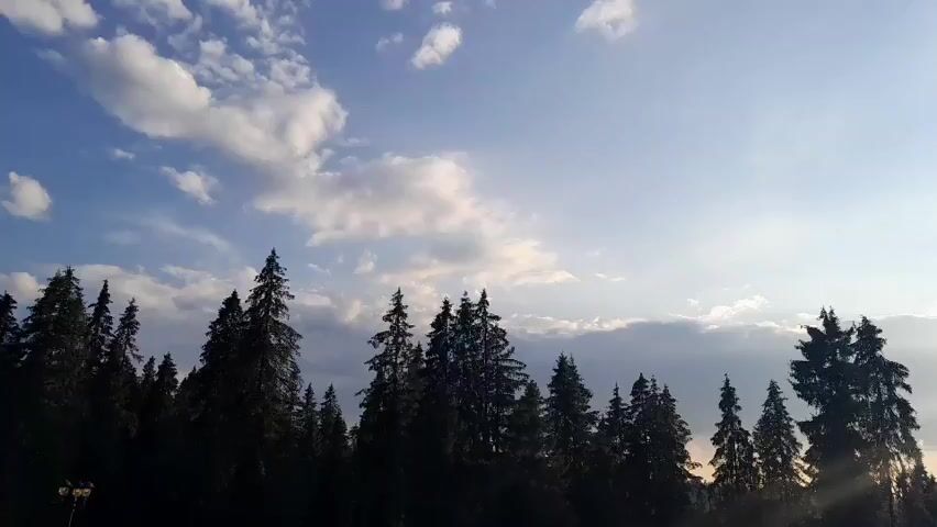 The video shows a silhouette of a forest against a sky with scattered clouds. The trees are tall and appear to be coniferous. The sky is a pale blue with wispy white clouds. The sun is not directly visible, but its light suggests it is either sunrise or sunset, with the light casting a soft glow on the clouds. There is no visible human presence or activity. The environment appears to be natural and serene.