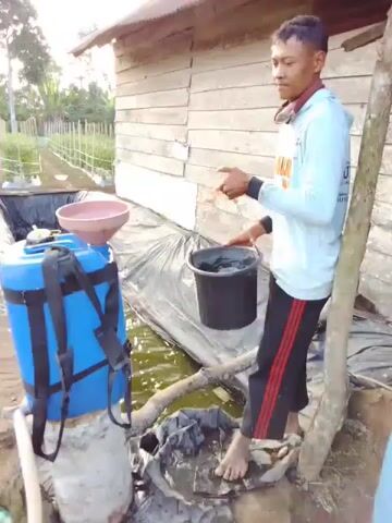 A person is pouring water from a black bucket into a funnel. The funnel is placed on top of a large blue plastic container, which has straps attached, suggesting it might be a backpack sprayer. The blue container is situated next to a pond lined with black plastic sheeting. In the background, there is a wooden structure with a corrugated metal roof and a field with rows of plants. The person is wearing a light-colored long-sleeved shirt with some orange writing on the back and dark pants with red stripes. They are barefoot and standing on a wooden plank that bridges the pond. The overall environment appears to be outdoors, possibly in a rural or agricultural setting.