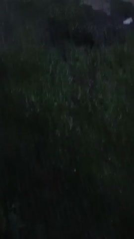 The video opens with a blurry shot of grass and a dirt path at dusk. The camera pans to the left to reveal a low building with a corrugated metal roof. A sign with the word "TESA" is visible on the side of the building. The camera then tilts up to the sky, which is a pale blue with scattered clouds. The moon is visible as a crescent shape in the upper right portion of the frame. The video ends with a close-up of the moon in the sky.