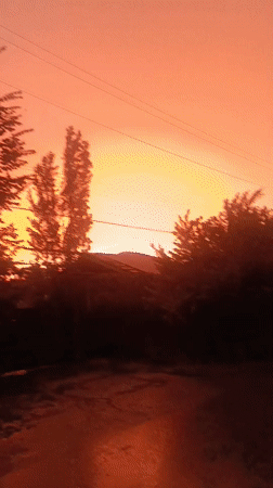 Sunset skies and a rural driveway, one afternoon