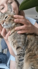 Woman pets cat amid Israeli flag decorations in Ramat Gan