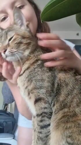 Woman pets cat amid Israeli flag decorations in Ramat Gan