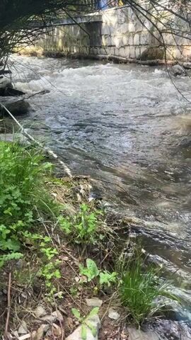 A fast-flowing stream is captured from a low angle, focusing on the water's movement and the surrounding vegetation. The water is murky and appears to be rushing over rocks. On the left bank, there is green grass and some dried leaves. In the background, a stone wall and trees are visible, with branches hanging over the water. The light suggests it is daytime, possibly overcast. No people or animals are visible.