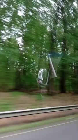 The video captures a blurred view of trees and foliage, seen from a moving vehicle. A chrome side mirror of the vehicle is visible in the foreground, reflecting the green trees and the sky. The road or ground beneath is also partially visible, with a barrier or guardrail along the side. The overall impression is one of rapid movement through a wooded area.