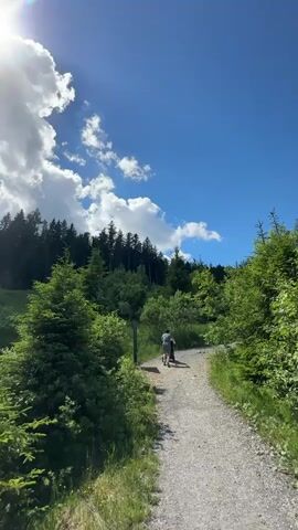 A person walks on a gravel path through a forest. The path curves slightly to the right and uphill. The person is wearing a backpack. The sun is shining brightly through clouds in a blue sky. There are many trees on either side of the path, with lush green foliage. The camera is positioned behind the person, following them as they walk.