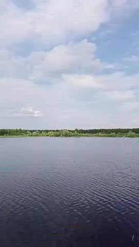A wide shot shows a body of water with a distant tree line under a partly cloudy sky. The water is dark blue and shows ripples from the wind. The tree line is lush green and appears to stretch across the entire horizon. The sky is light blue with scattered white clouds. There are no people or man-made objects visible in the frame.