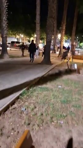The video shows a nighttime park scene with people walking in the background. Tall palm trees line a walkway. The camera pans to a man wearing a black t-shirt, gray jacket, and a black baseball cap. He speaks to the camera. The background includes benches, streetlights, and playground equipment.
