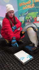 Visitors enjoy penguin encounters and skiing at Dubai's indoor facility