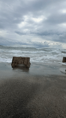 Man documents early morning beach walk with dog in Kiten