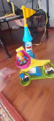 Family playtime and domestic activities documented in Novosibirsk homes