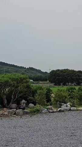 The video shows a panning shot of a rural landscape with a gravel foreground. On the left, there is a large pine tree with rocks at its base. In the middle ground, there are several bushes and a small stone lantern. Beyond the bushes, a green field is visible. In the background, rolling hills covered in trees are under a cloudy sky. There are some telephone poles and wires in the distance. On the far right, another tree is visible. The camera pans from left to right, showing more of the green field and the trees on the hills.