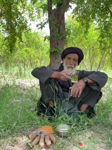 In an outdoor setting in Nowruzi, Afghanistan, an elderly man with a long white beard and a black turban is seated on the ground. He wears dark, traditional clothing and holds a clear glass containing a light-colored liquid in his right hand. A dark wristwatch is visible on his left wrist.

To his left, on the ground covered with sparse green grass, several fresh turmeric roots are laid out. Beside them is a small, silver-colored bowl holding a greenish paste or liquid, and an orange piece of fabric or fruit.

The man is sitting under the shade of a tree, which, along with numerous other trees in the background, appears to be a pomegranate tree, identified by the abundance of small red flowers or young fruits. The scene is brightly lit by daylight, suggesting a clear day. The man looks directly at the camera with a calm, neutral expression. There is no visible text in the video.
