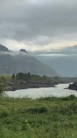A vertical video shows a wide, turbulent river flowing through a valley. Mountains rise on either side of the river, with some peaks shrouded in mist. A bridge spans the river in the distance. The foreground is filled with lush green grass and wildflowers. The sky is overcast with dramatic clouds, but a sliver of orange sunlight can be seen peeking through the clouds in the distance. The video appears to be filmed from a low angle, looking across the river and into the valley. There are no people or animals visible in the video. The overall mood is one of natural beauty and tranquility, with a hint of dramatic weather.