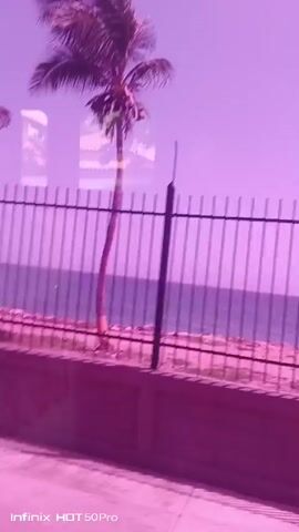 The video captures a view from a moving vehicle, likely a bus or car, looking out towards a coastal scene in Macuto, Venezuela. The dominant visual elements are two tall palm trees silhouetted against a hazy, purple-tinted sky. A black metal fence runs horizontally across the mid-ground, separating the viewer from the ocean. Beyond the fence, the water appears a deep blue, with small white crests indicating waves. The shoreline is visible as a strip of light-colored sand or rocks. A low, pink-hued wall runs along the bottom of the frame, in front of the fence.

The activity taking place is the passage of time and movement, as evidenced by the slight blur and the changing perspective of the palm trees and the ocean. The time of day appears to be daytime, possibly late afternoon or early morning, given the lighting and the purple hue which could be a filter or an atmospheric effect. The weather seems mild, with a gentle breeze suggested by the swaying palm fronds.

Notable details include reflections on what appear to be windows of the vehicle, showing indistinct shapes that suggest buildings or other structures. The overall mood is somewhat serene, with the natural elements of the coast creating a sense of calm. However, the heavy purple tint and the presence of a fence can evoke a feeling of confinement or an altered reality.

The bottom left corner of the video displays white text: "Infinix HOT50Pro". This is a brand name and model of a mobile phone, indicating the device used to capture the footage. There are no people visible in the frame.