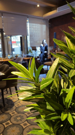 Woman performs at Moscow restaurant venue Friday evening