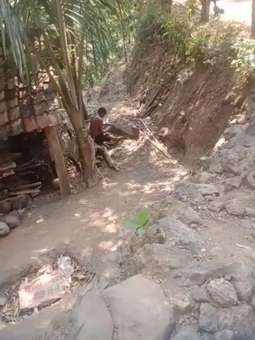 A man is seen sitting on a log in an outdoor setting. The ground is dirt and rocks. There is some foliage and a structure made of wood and brick in the background. The man appears to be interacting with something on the log, but the details are unclear.