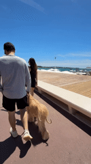 Saturday morning stroll captured along Cannes Croisette promenade