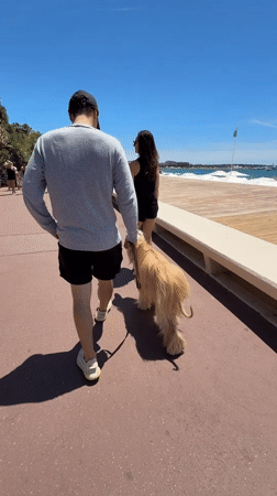 Saturday morning stroll captured along Cannes Croisette promenade