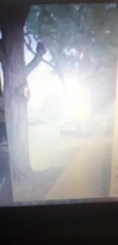 This is a short, blurry video clip depicting a street scene. The primary subjects are trees lining a sidewalk, with a street and a few houses visible in the background. A white car is also partially visible on the street. The lighting suggests it is daytime, possibly morning or late afternoon, with a hazy or foggy atmosphere. The trees are deciduous, with full foliage, and appear to be mature. The houses in the background seem to be single-story residential structures. There are no people clearly visible in the clip. The activity taking place is simply the static view of the street and its surroundings, with the car appearing to be stationary or moving slowly. No text is visible in the video. The scene evokes a sense of quiet or possibly eerie atmosphere due to the blurriness and haze.