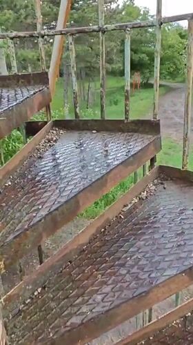 Visitor climbs observation tower in rural Russia, documents landscape views