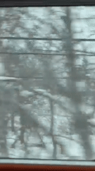 Winter travel through snowy Kutchan landscape captured on video