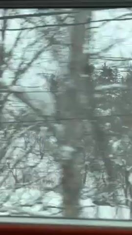 The video shows a view from inside a moving vehicle, looking out a window at a snowy landscape. Trees covered in snow pass by in a blur, and power lines are visible in the foreground, parallel to the top of the window frame. The lower edge of the window frame is red. The light is dim and overcast.