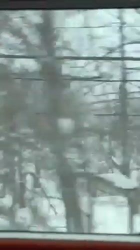 Winter travel through snowy Kutchan landscape captured on video