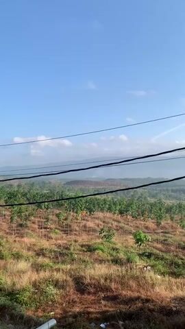 The video captures a wide landscape under a clear blue sky. In the foreground, dry grass and some white debris are visible. Several black electrical wires are stretched across the frame horizontally, obscuring parts of the view. Beyond the wires, a cultivated area with rows of young trees and sparse vegetation stretches into the mid-ground. The trees appear to be planted in an organized manner on a slightly sloping terrain. In the background, a hazy line of hills or mountains can be seen, with a large area of disturbed earth or construction activity visible on one of the slopes. The overall impression is of a rural or developing area, possibly agricultural, under a bright sky with a few faint contrails.