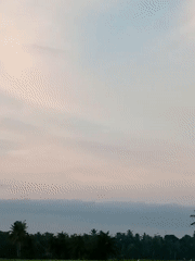 Rice paddies and palm trees under shifting tropical skies