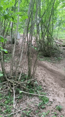 Dirt bikers navigate forest trails in rural Belarus