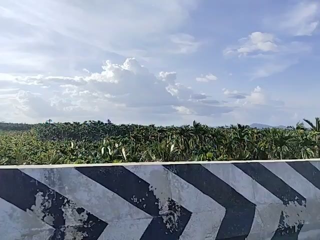 A video captures a highway with a protective barrier on the left side, featuring a black and white chevron pattern. A lush green forest, composed of palm trees, stretches into the distance on the left. The sky is a clear blue, dotted with fluffy white clouds. In the distance, a red bus is visible traveling on the highway. The camera pans to the right, revealing more of the highway and the treeline. The video ends with a shot of the highway and the surrounding landscape.