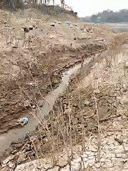 Jatirejo reservoir shrinks as drought parches the surrounding land