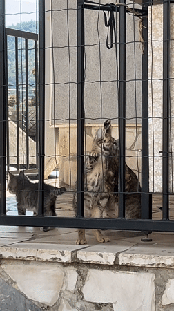 Photographer documents everyday life in Budva, Montenegro over three hours