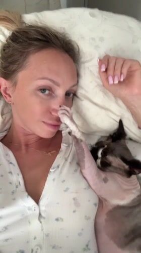 Chill afternoon in Sochi with a Sphynx cat